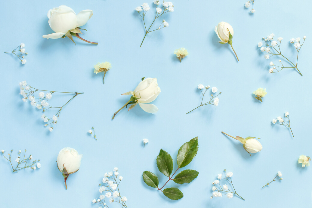 Flowers on a light blue background